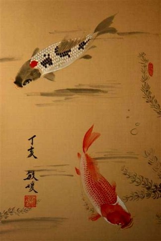 photo Carpe Koi