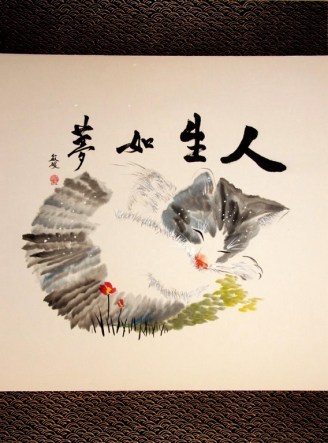 photo La vie n'est qu'un reve